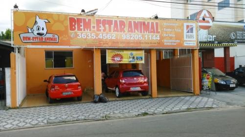Bem Estar Animal - Foto 5