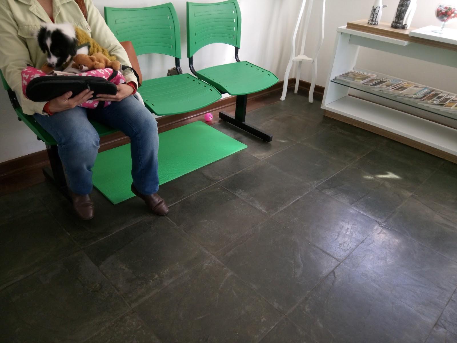 Pet Shop Cães e Gatos