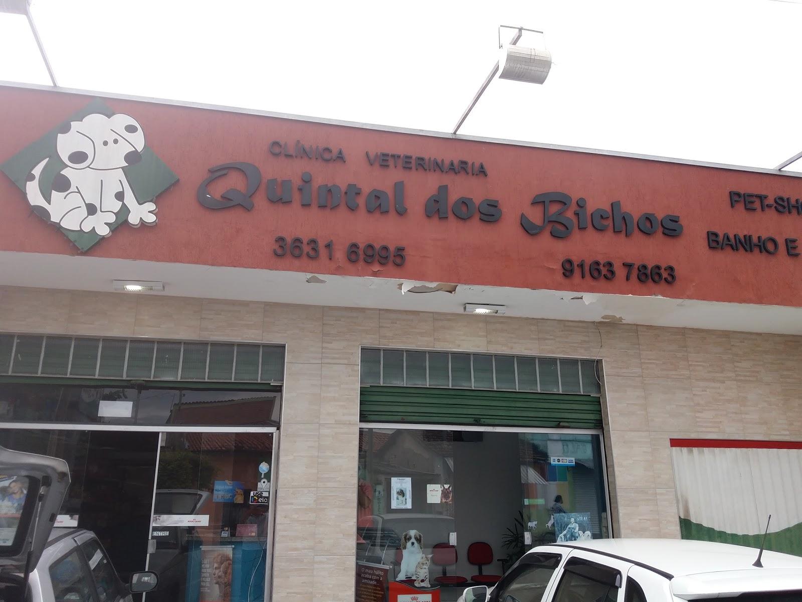 Quintal dos Bichos - Clinica Veterinária