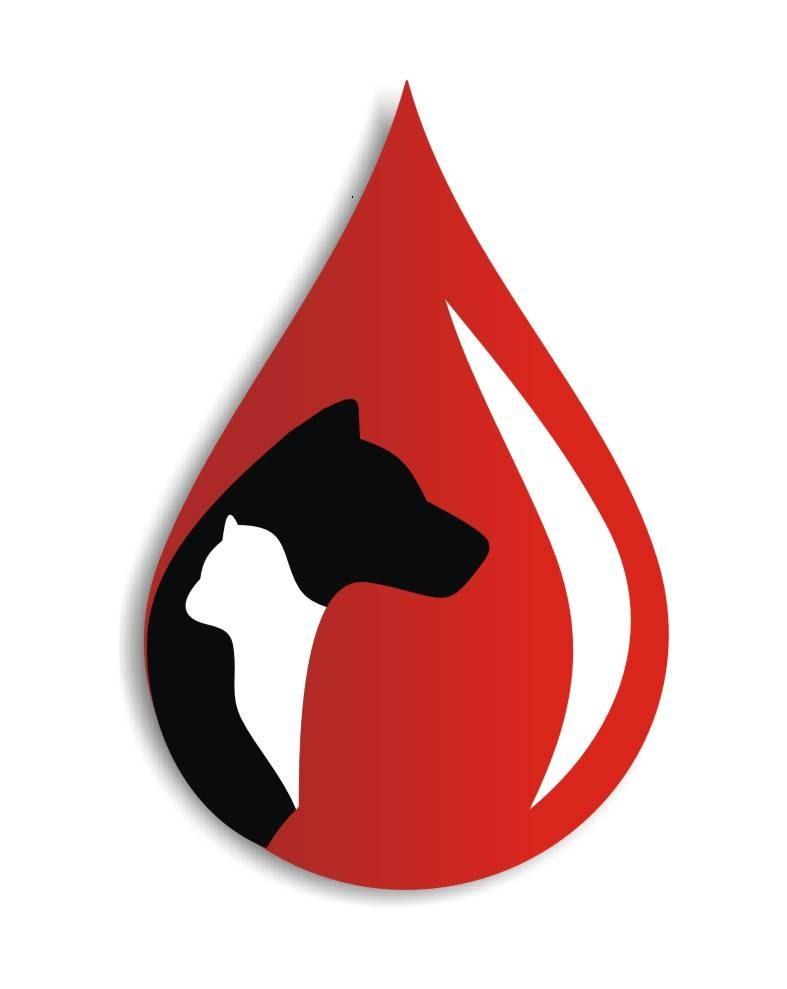 Clinica Veterinária Fullpet Unidade I