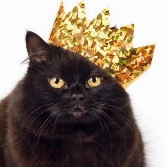 Pet Shop Reino Animal - São Vicente