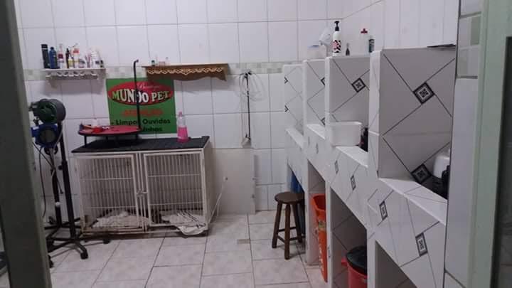 Boutique Mundo Pet - Foto 3