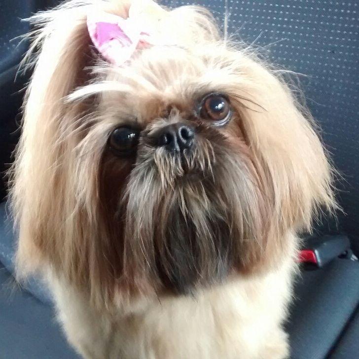 Bicho pra Bicho - Pet shop