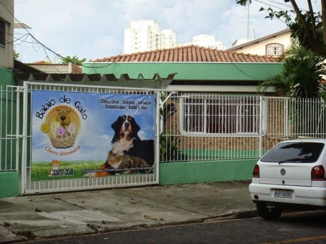 Clínica Balaio de Gato