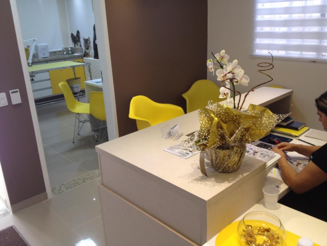 Oftalmologia Veterinária Olho Clínico