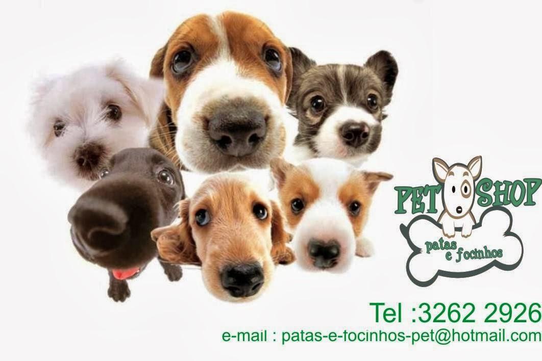 Patas e Focinhos Pet Shop