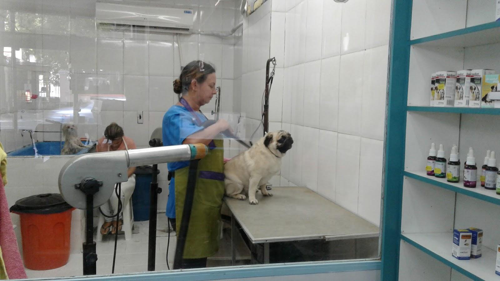 A Vez do Bicho Pet Shop