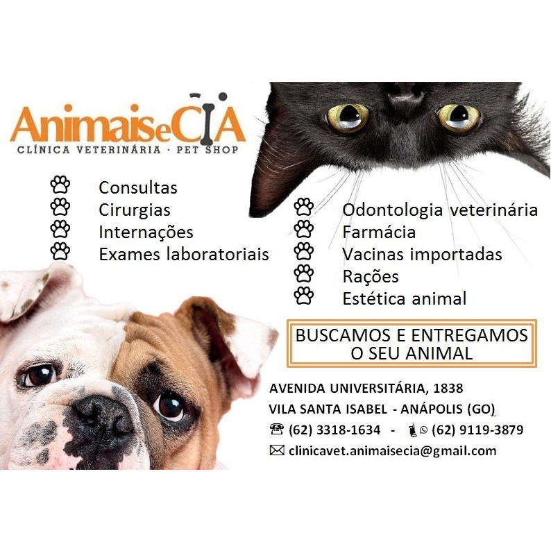 Veterinary Clinic Animal and Co.