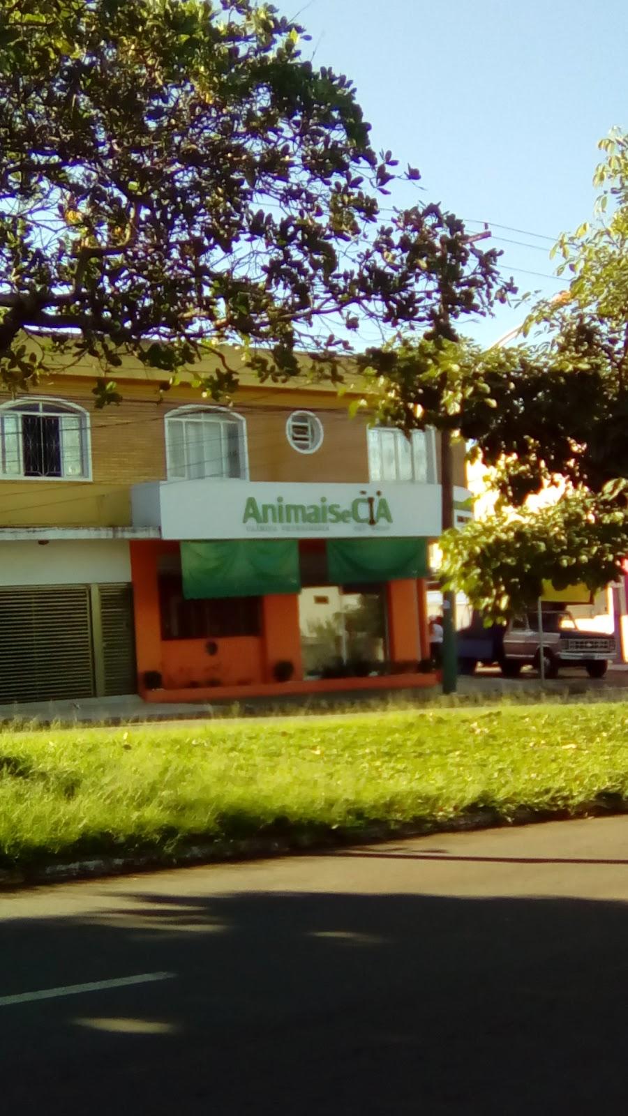 Animais e Cia - Foto 2