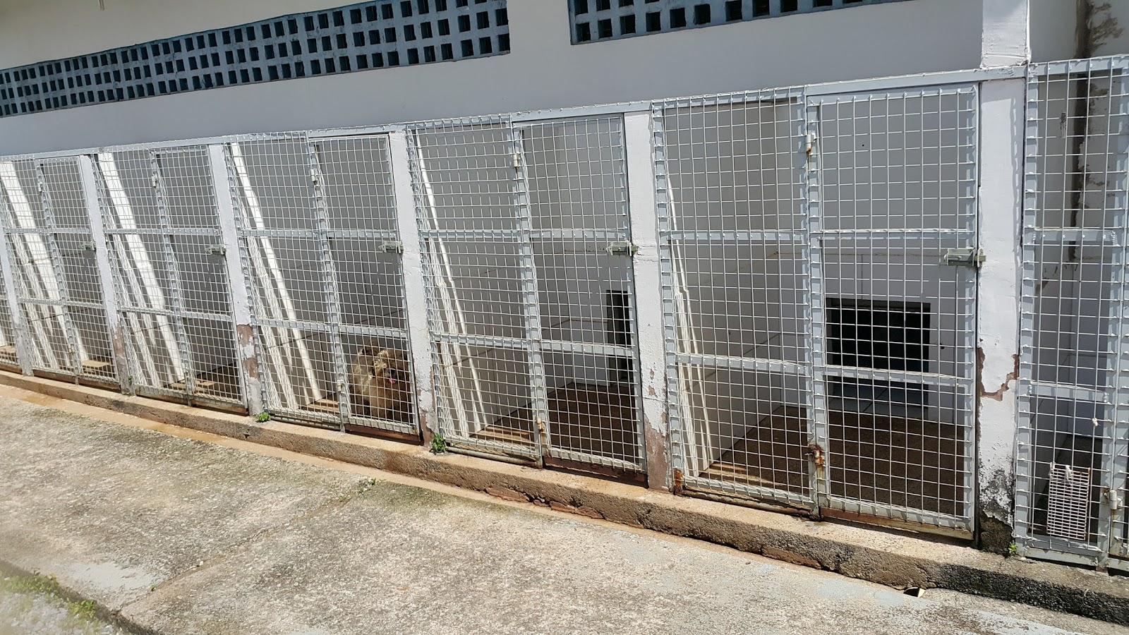 Hospital Veterinário São Francisco - Foto 2