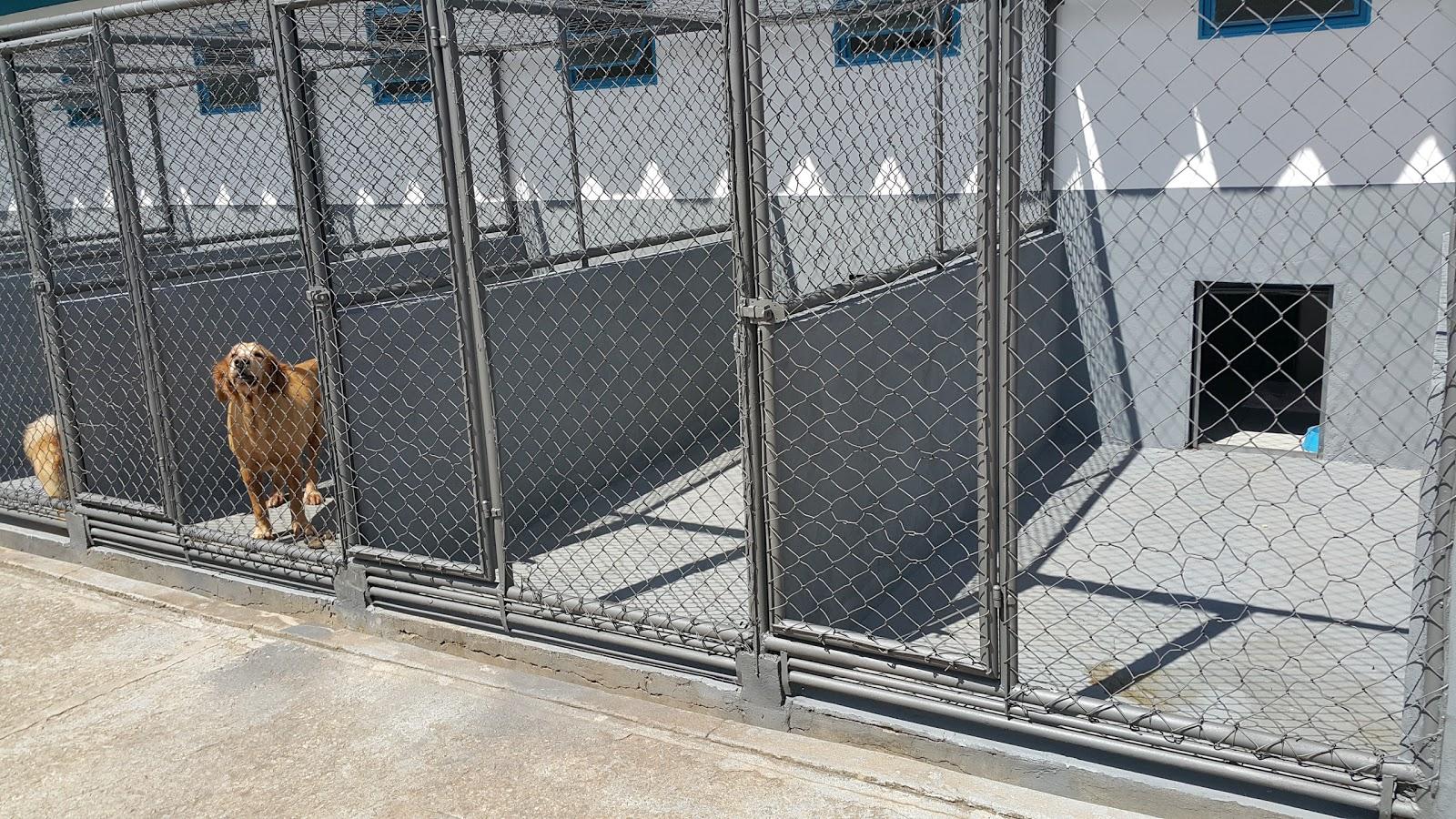 Hospital Veterinário São Francisco - Foto 3