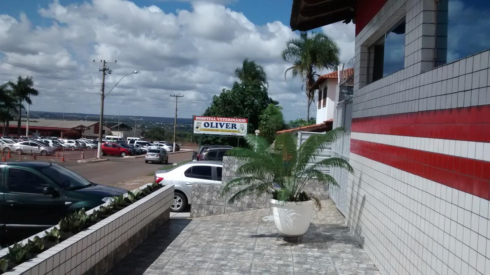 Oliver Veterinary Hospital - Foto 3