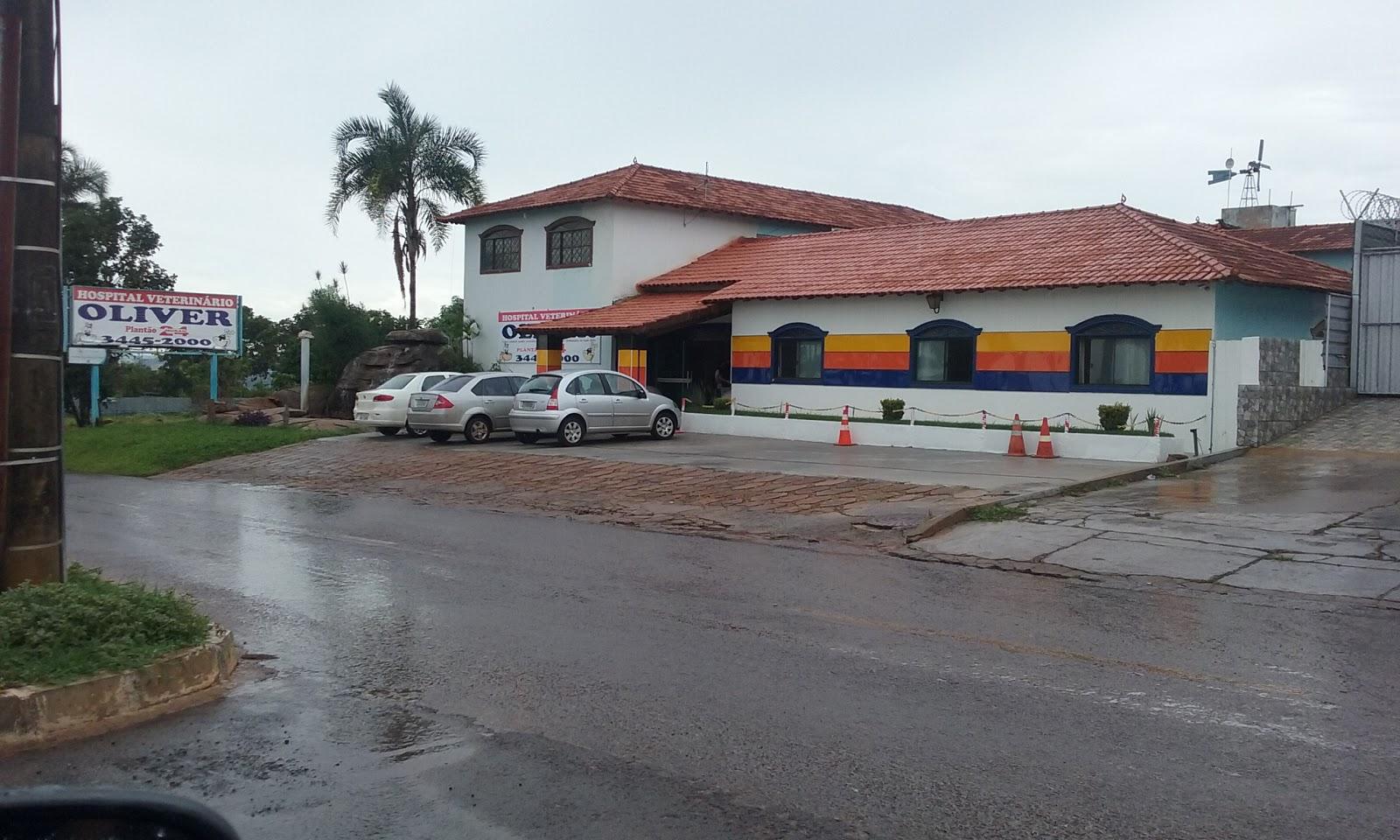 Oliver Veterinary Hospital - Foto 2