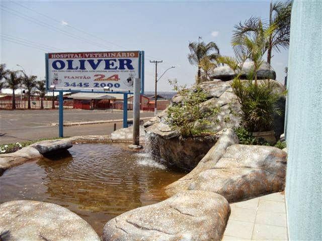 Oliver Veterinary Hospital - Foto 5