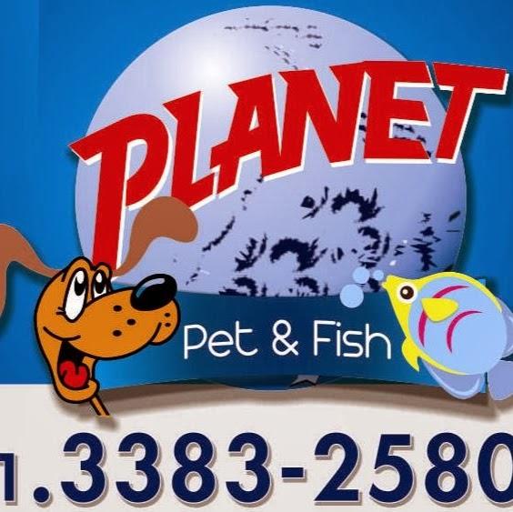Planet Pet Fish - Foto 2
