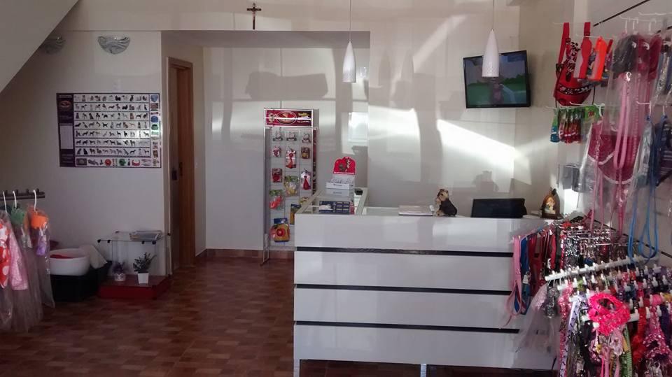 Estetícães Pet Shop