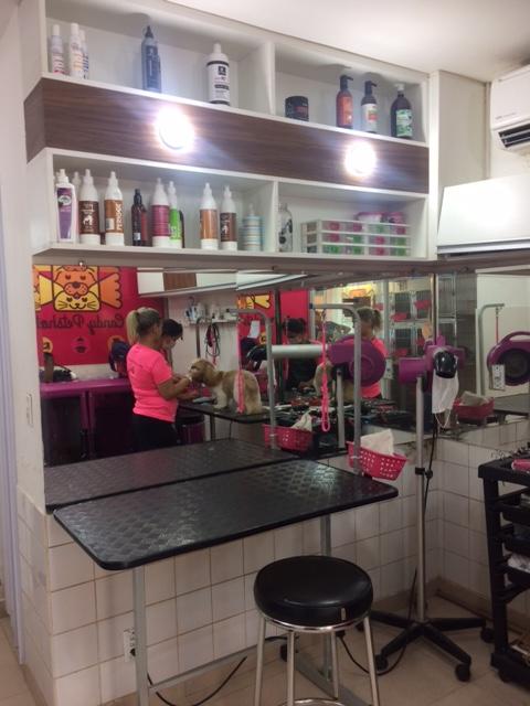 Candy Pet Shop - Foto 5