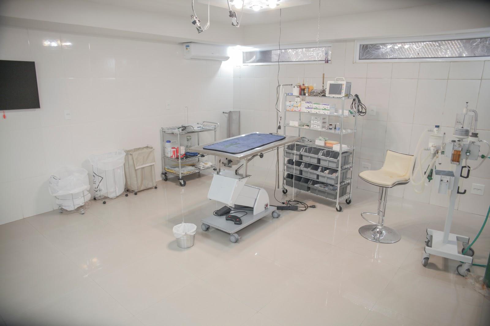 Convet - Clínica de Ortopedia e Neurologia Veterinária