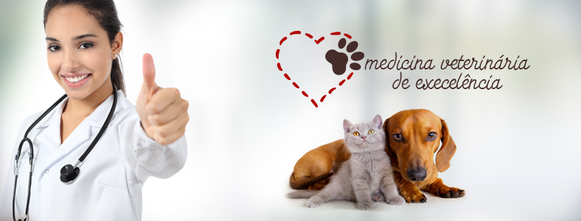 Clínica Veterinária Vet Vida