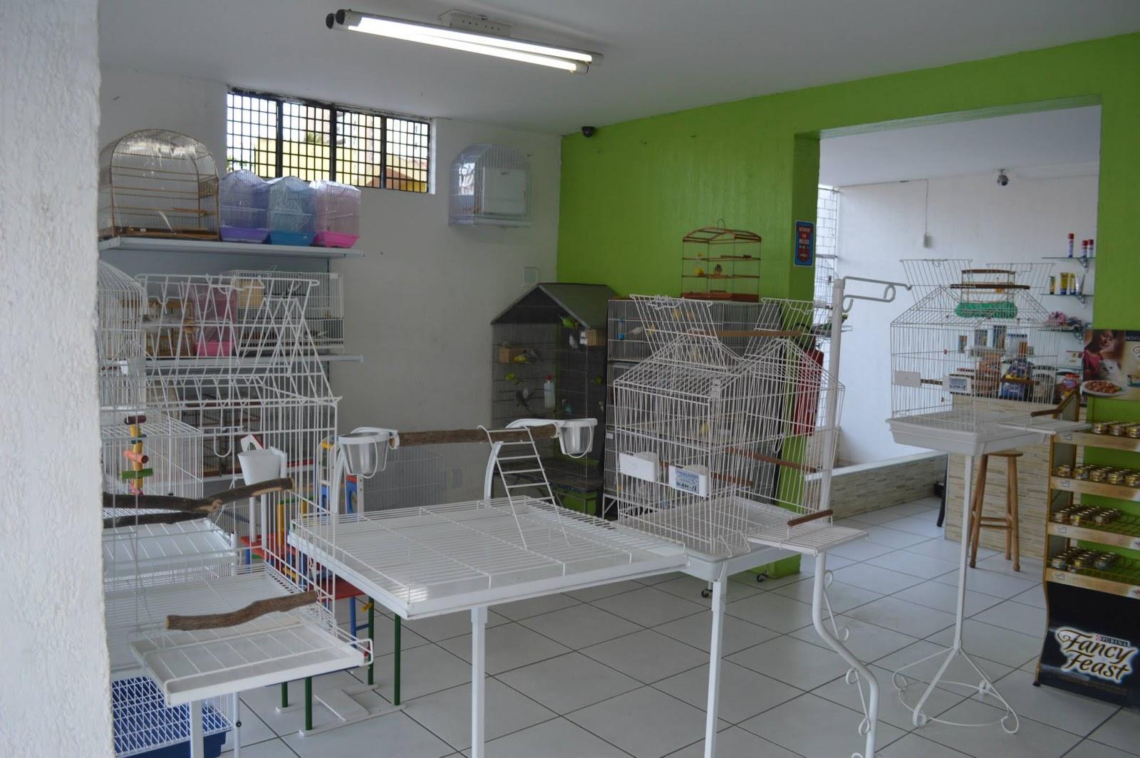 Ecological Pet Shop