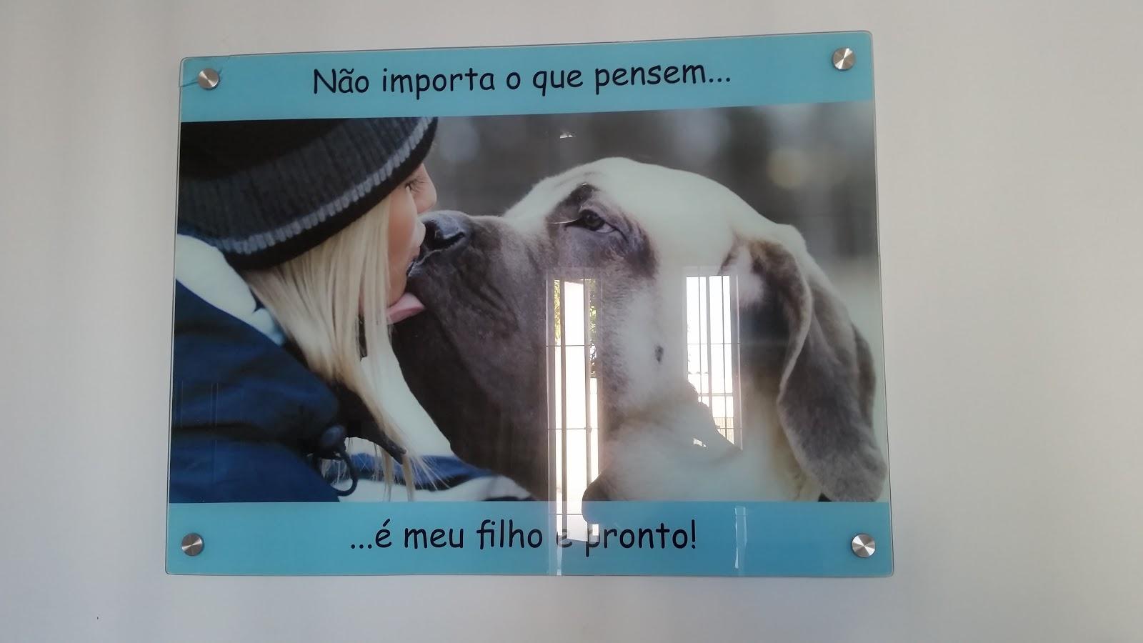 Veter - Foto 5