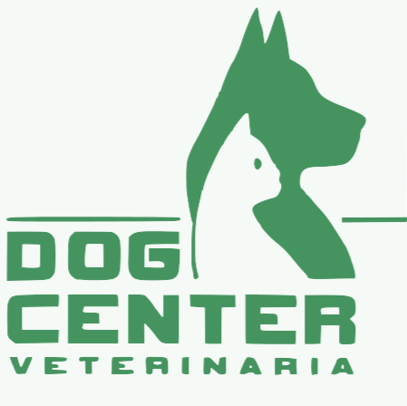 Dog Center Veterinária