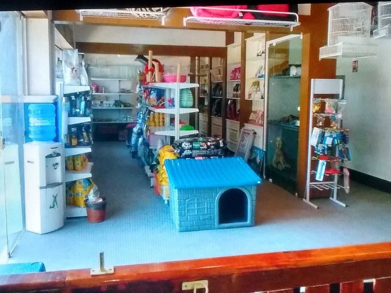 Loop Pet Shop