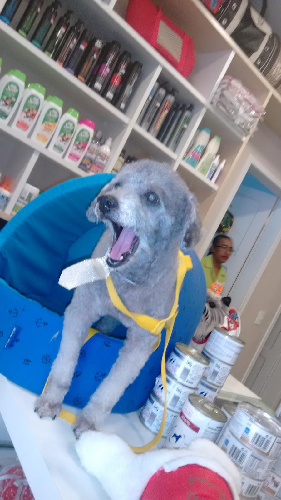 Pet Point - Foto 3