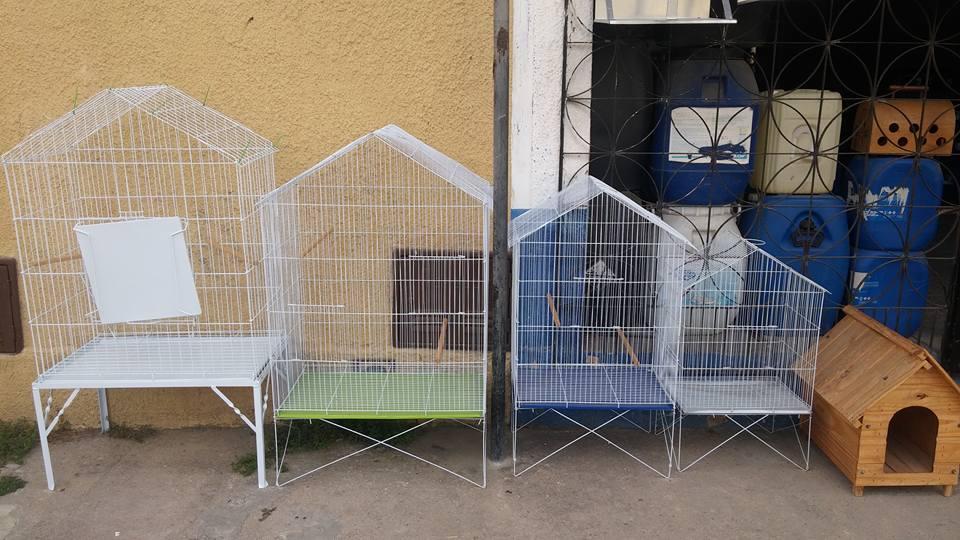 Pet Shop Itapery - Foto 4
