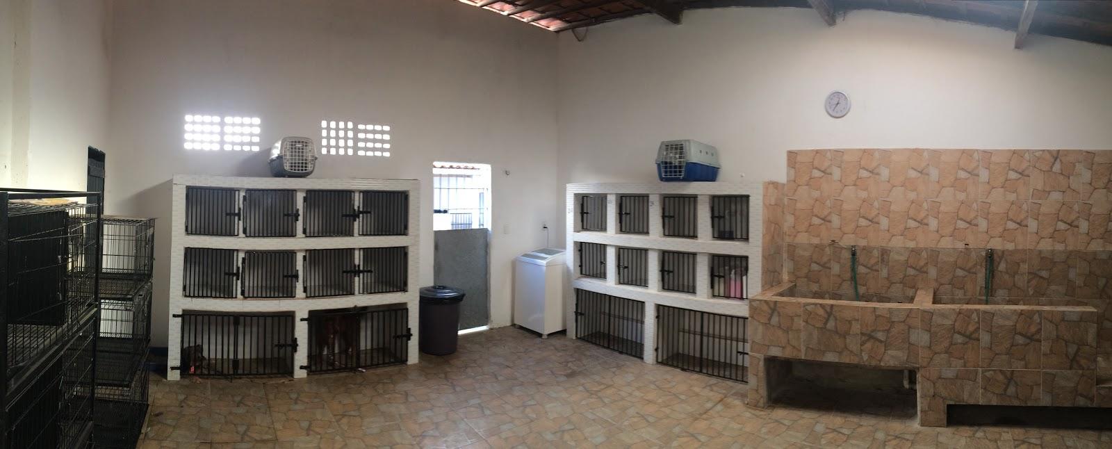 Dr. Ricardo Jucá Veterinária