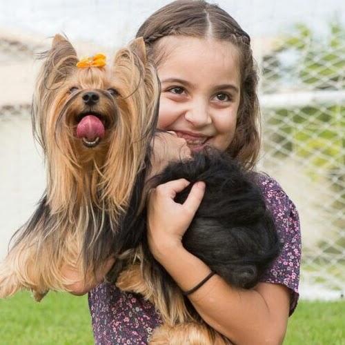 Plano de Saúde Animal