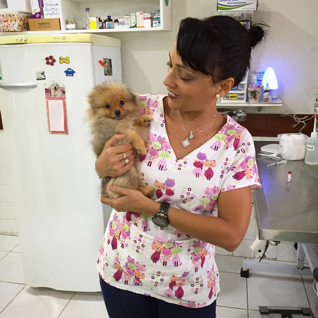 Animal Center Salvador