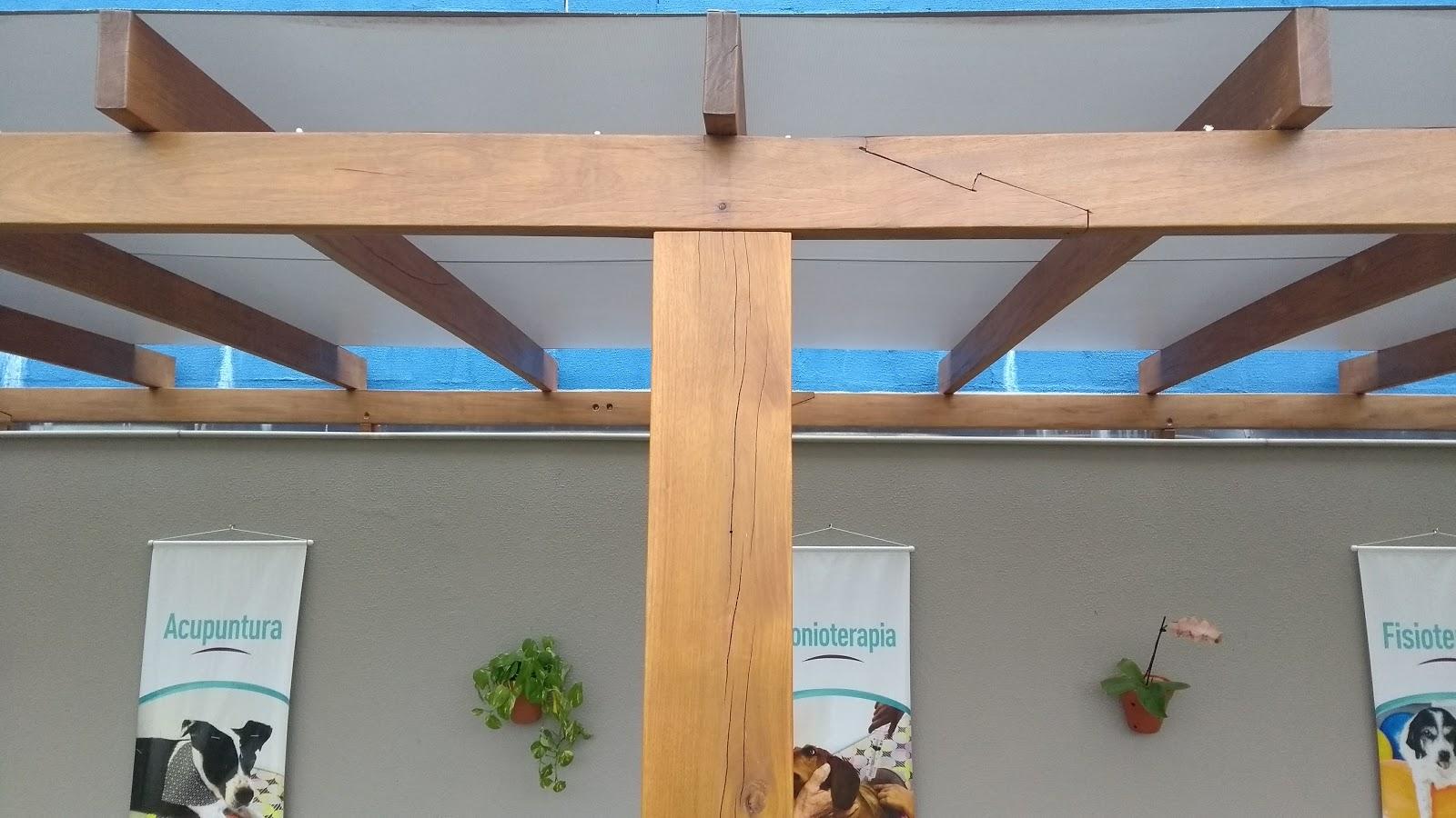Equilíbrio Pet - Foto 2