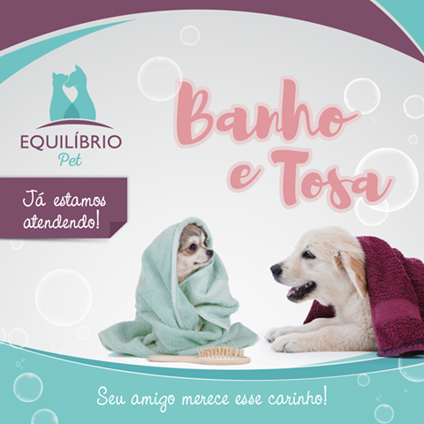 Equilíbrio Pet - Foto 3
