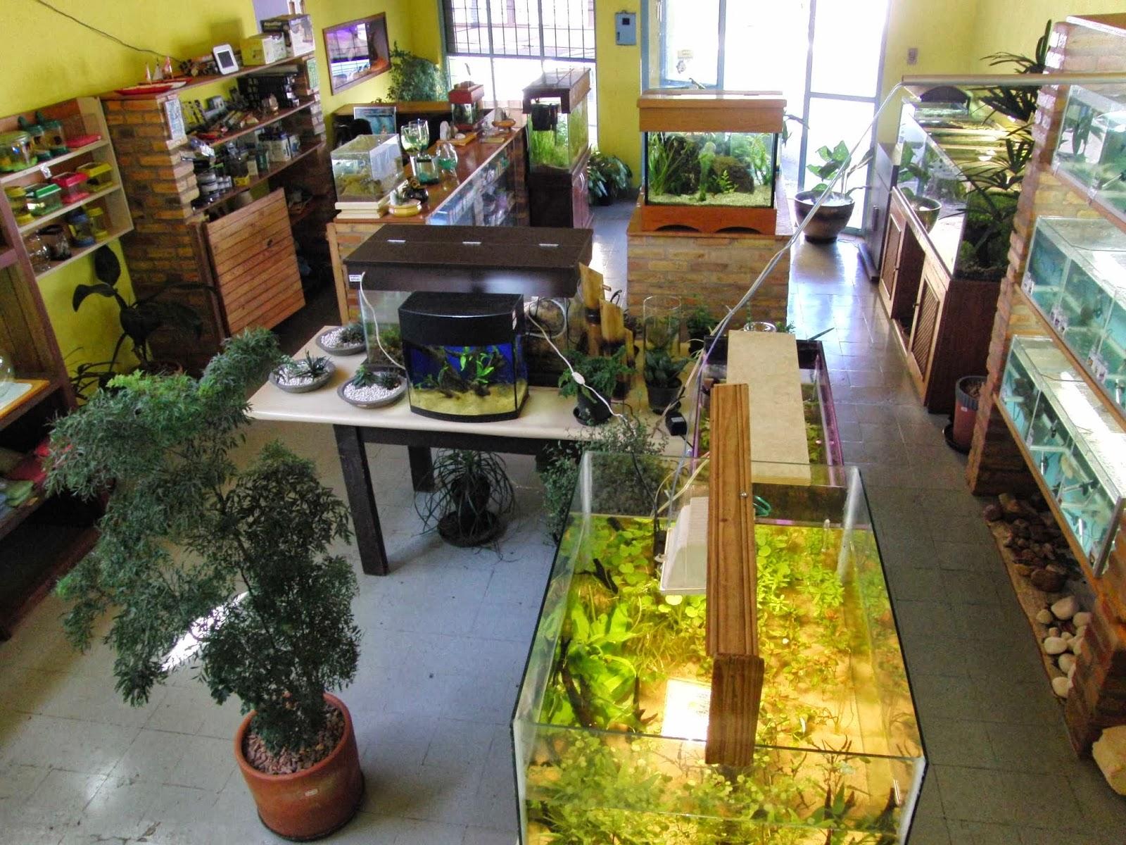 AGUAPÉ LOJA de AQUÁRIO & JARDINS