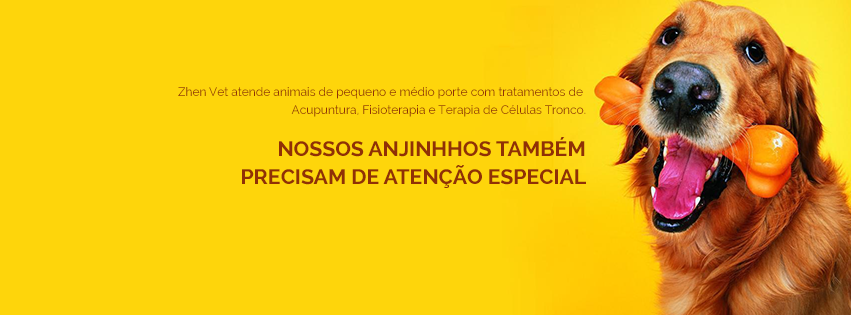 Zhen Vet