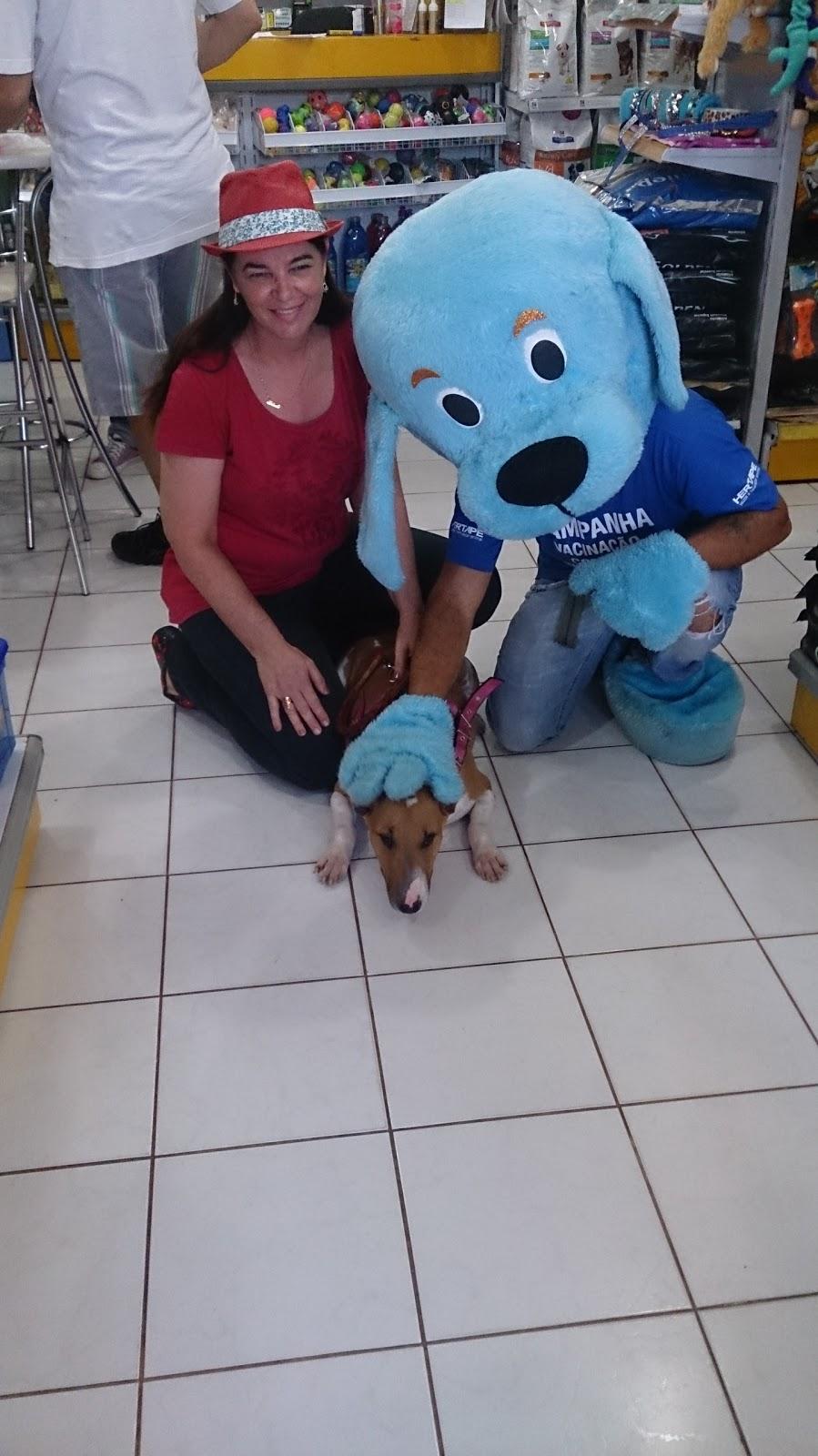 Pet Club - Foto 4
