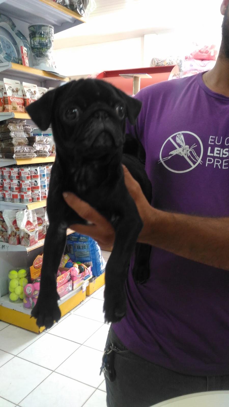 Pet Club - Foto 3