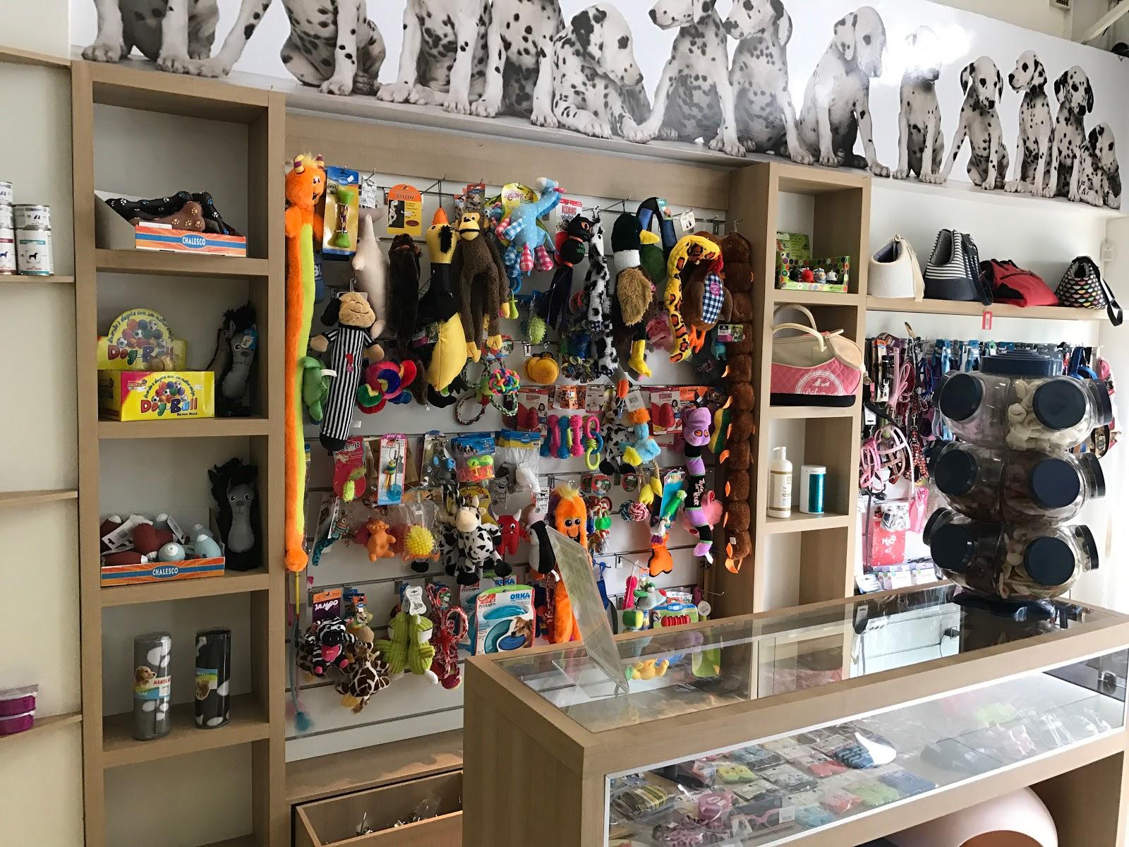 Pet Shop Dog E Gatao Flamboyant