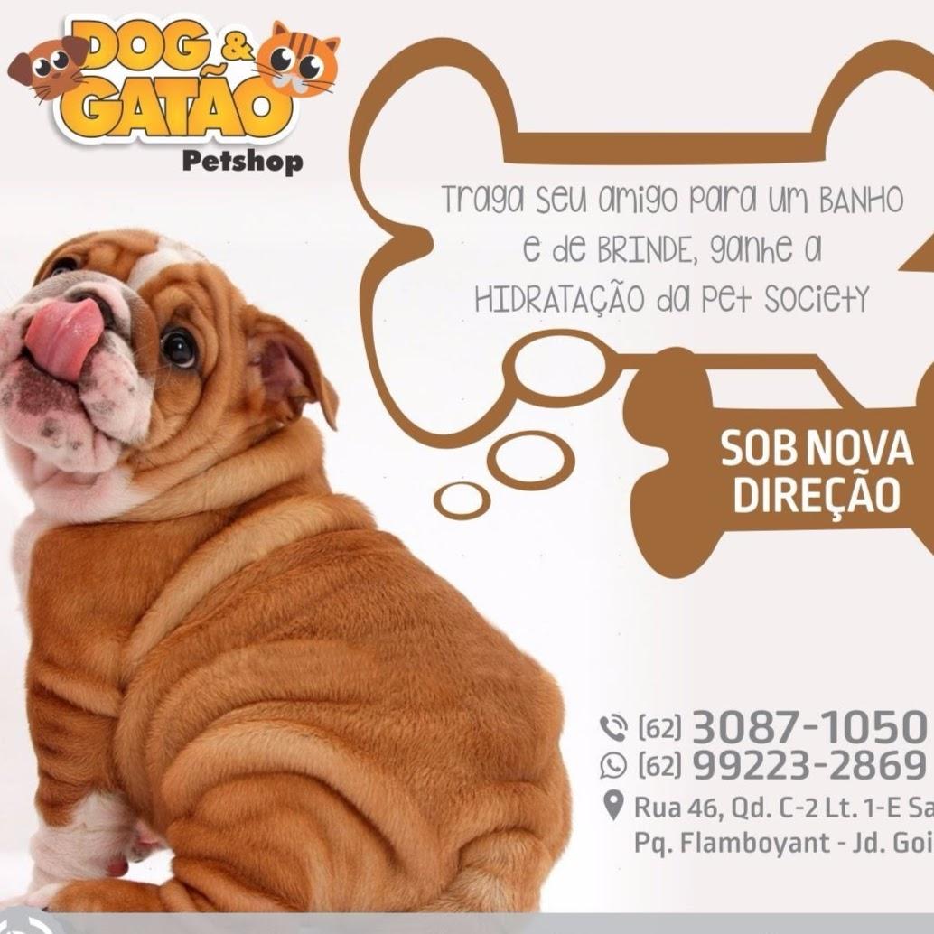 Pet Shop Dog E Gatao Flamboyant - Foto 3