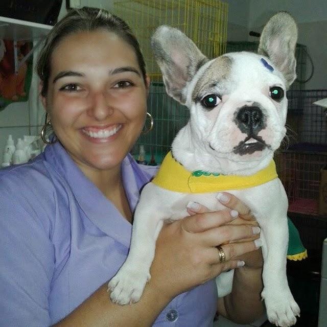 Estima e Ação Pet Shop e Consultório Veterinário - Foto 3