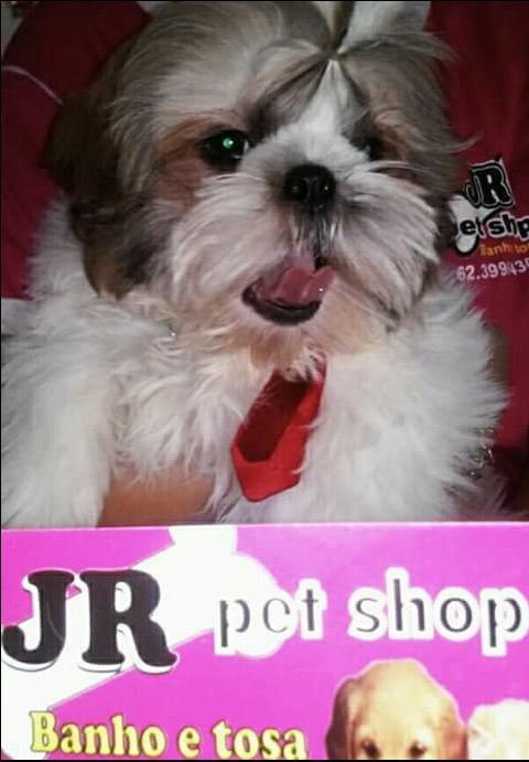 JR Pet Shop