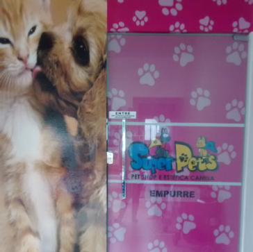 Super Pets - Foto 3