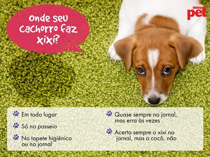 Bicho Mania Pet Shop