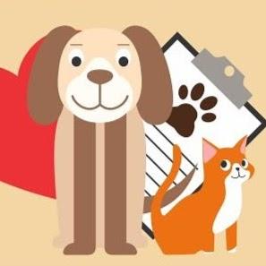 Bicho Fashion Pet Shop