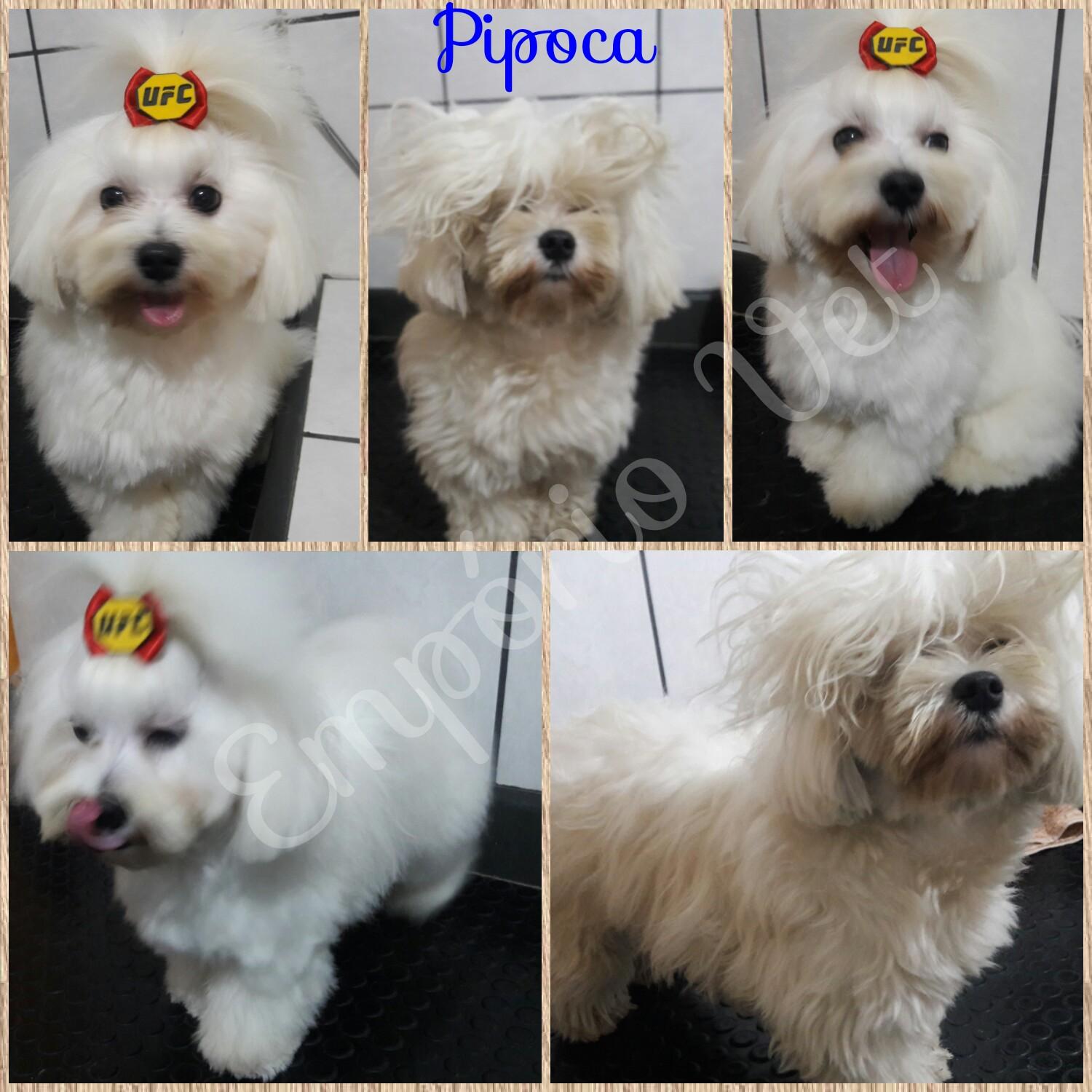 Empório Vet Pet Shop