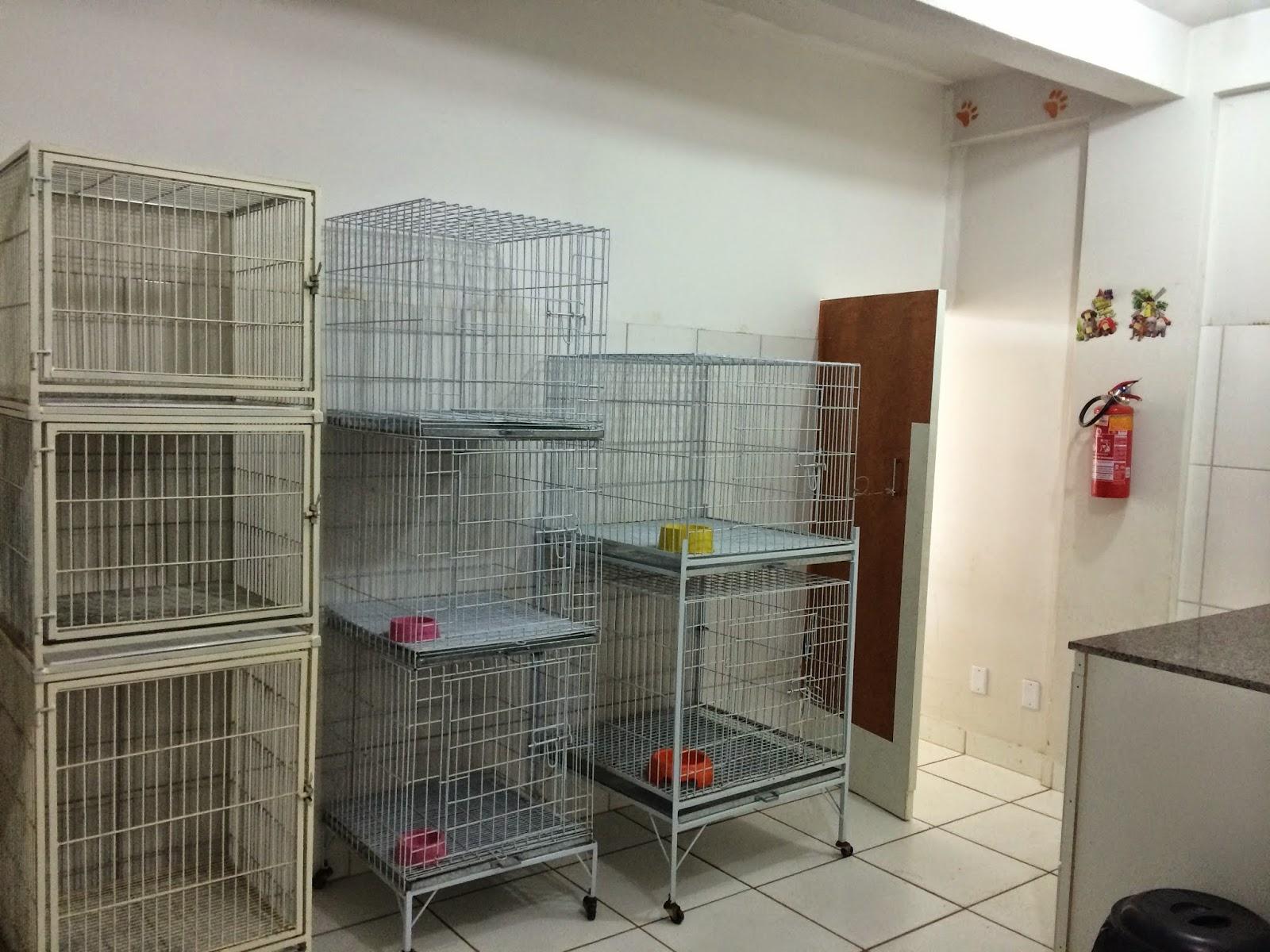 Chic Dog PET SHOP - Foto 4