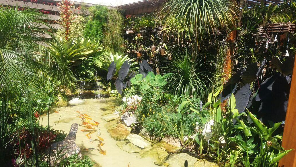 LAGOS E AQUÁRIOS SOL NASCENTE