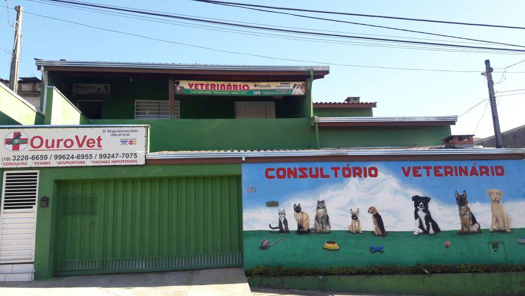Ourovet Campinas - Clinica Veterinária Emergências Vacinas Cirurgias Consultas Exames