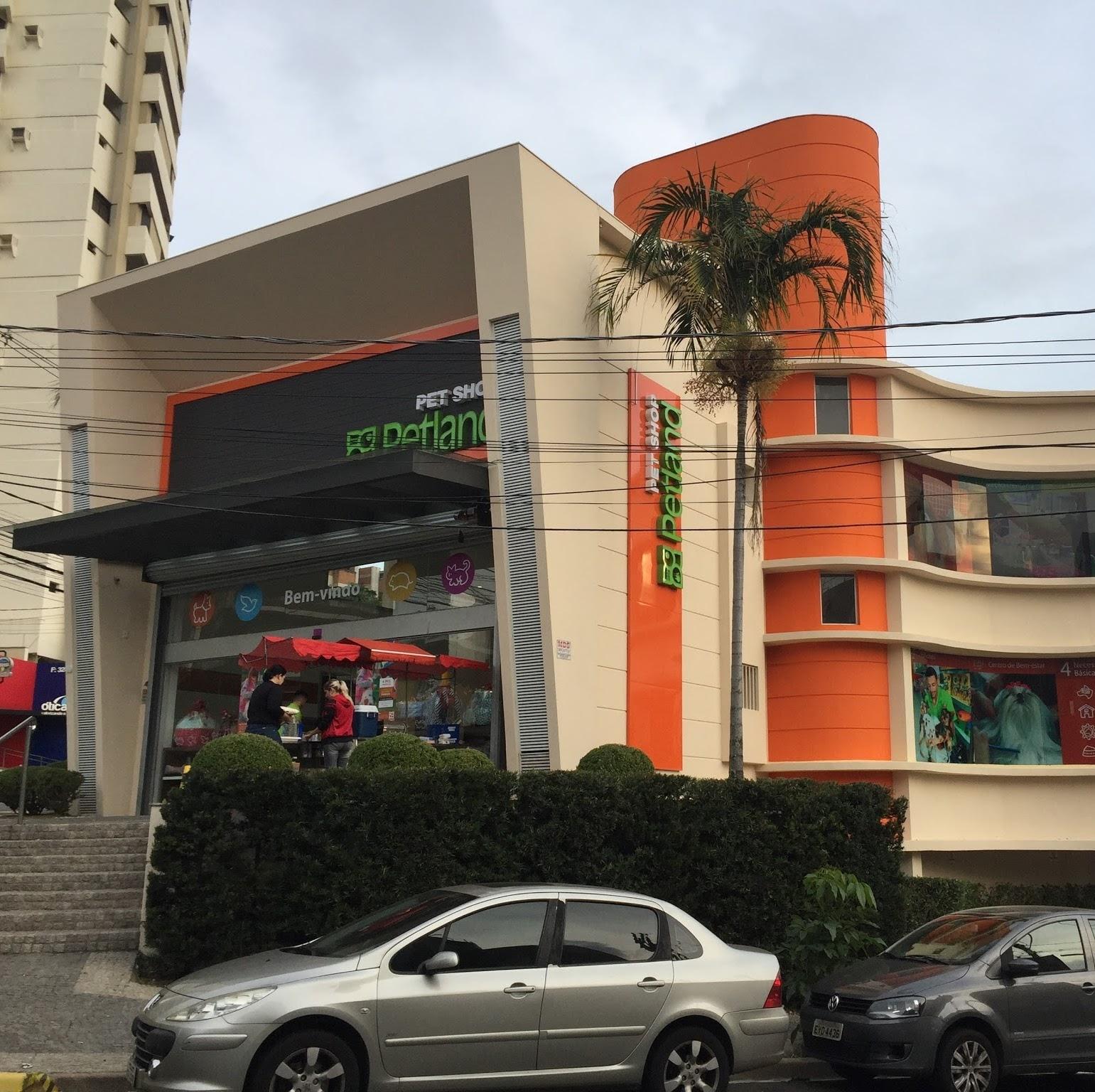 Petland Campinas - Foto 4